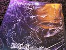 Emperor Into The Nightside Eclipse Back On Black Vinyl LP