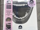 Cast Yeah Yeah Yeah record store day vinyl. Brand new and sealed
