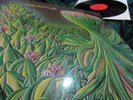 GALAXY LIN  SAME  MAKELLOSE ERSTPRESSUNG 1974 / PROG PSYCH