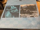 R.E.M. Chronic Town Murmur Interscope DSS ONE STEP #ED AAA New SEALED SOLD OUT