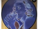 Madonna - Erotica (Limited Picture Disc Vinyl 12
