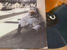 The Wonder Years - Suburbia Vinyl 1st Pressing Grey Marble / Clear Orange /500