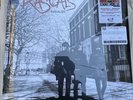 Miles Kane The Rascals RASCALIZE RED VINYL RSD 2026 LP. Brand New