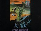 Steel Mill - Green Eyed God ( UK  1972 ) Vinyl LP reissue-TDP label