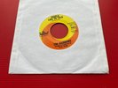 THE RAINBOWS People Like To Talk 1967 US 7