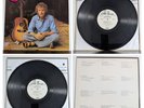 Gordon Lightfoot Sundown 1974 US LP White Label Promo Reprise MS 2177