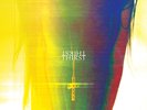 Slow Crush - Thirst - 12