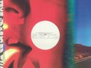 Fatboy Slim & The Rolling Stones Satisfaction Skank (12