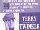 TWINKLE-PICTURE SLEEVE + 45--(TERRY)--PS--PIC--SLV