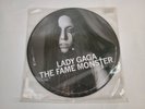 Lady Gaga THE FAME MONSTER Vinyl Picture Disc Record LP