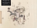 Frightened Rabbit ‎– The Midnight Organ Fight / Vinyl LP