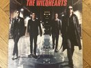 The Wildhearts - Endless Nameless - Vinyl LP - Mush 13 LP NM NM