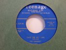 The Demens Take Me As I Am/You Broke My Heart Doo Wop 7