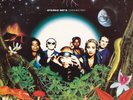 Stereo MCs Connected (Vinyl LP) 12