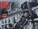 MR. BIG Lean Into It LP Ltd 30th Anniv Edition 180g Vinyl