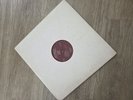 The Time Machine 1981 Hunters For Success Vinyl Collectible. White cover.