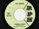 Garage 45 - Pebbles - Endless Tears - RPH - rare