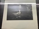 Cy Timmons ‎- The World's Greatest Unknown LP Erewhon - WITH COVER 1976 OG CLEAN
