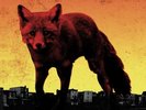 The Prodigy – The Day Is My Enemy / 2 x LP vinyl record