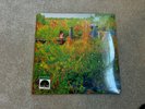JHENE AIKO Trip USA 2LP Picture Disc Vinyl RSD 2026 Sealed RECORD STORE DAY NEW