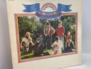 The Beach Boys Sunflower Vinyl LP OG US 1970 Gatefold Pressing VG+/VG+