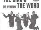 THE RIVINGTONS-PICTURE SLEEVE + 45-(THE BIRD'S THE WORD)--PS--PIC--SLV