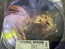 Offspring - Splinter (20th Anniversary) (r [VINYL]