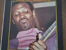 Orig. Magic Sam LP, Black Magic, Delmark DS 620, white label promo w/sheet, NM