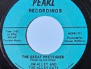 Jim Alley and the Alley Cats - The Great Pretender   Pearl     Ex