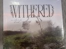 d4vd withered vinyl