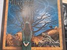 Mercyful Fate In The Shadows Near Mint Official 1st Press   King Diamond