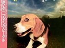 Himiko Kikuchi FLYING BEAGLE 2025 Brand New Black With OBI