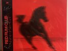 Red Rum Club  BUCK  Vinyl  LP  Signed Assai Obi Edition Red & Black Splatter  NM