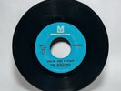 THE WINSTONS: Color Him Father/Amen, Brother 1969 45 RPM 7” Vinyl Metromedia