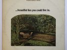 Tom Rapp, Beautiful Lies… Vinyl LP, Reprise 1971, VG+/VG, US Import 1st Pressing