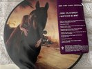 Red Hot Chili Peppers Dani California Whatever We Want WB W715 M Picture Disc
