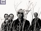 Tom Petty & the Heartbreakers - Echo Doppelvinyl LP