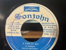 David Anthony, A Time Of Joy Reggae 45 / Hear