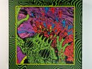 King Gizzard & The Lizard Wizard Live At Red Rocks 2022 Box Set 12xLP Vinyl