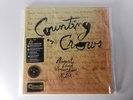 Counting Crows - 