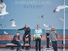 Barenaked Ladies - In Flight - Vinyl Record - H4z