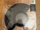 Paramore Aint It Fun RSD 2014 Record Rare