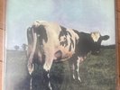 Pink Floyd Atom Heart Mother Vinyl Record LP Original Master Recording MFSL