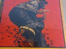 Crippled Black Phoenix - (Mankind) The Crafty Ape (2011, 2xLP  Nuovo Sigillato