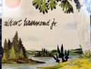 Albert Hammond Jr. - Yours To Keep | LP | 2016 Release | US | Vagrant | VG+
