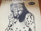 Palace Music - Viva Last Blues Vinyl LP With Poster 1995 WIGLP21 VGC
