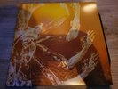 Tool Fear Inoculum Vinyl