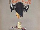 Bowerbirds Hymns For A Dark Horse Dead Oceans Vinyl LP Near Mint
