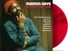 Marvin Gaye - Lets Get It On... Live LP 12