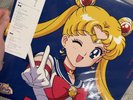 Pretty Guardian Sailor Moon: the 30th Anniversary Memorial Album Unopened